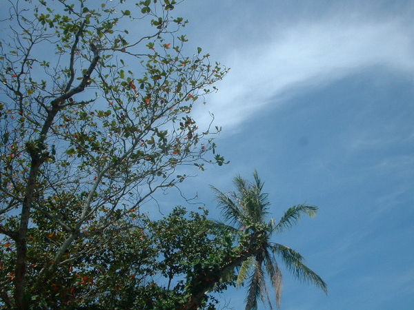 天空更藍