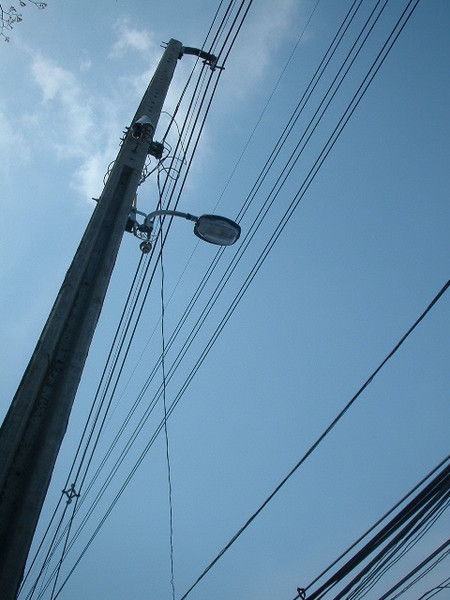 電線桿