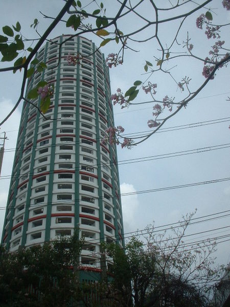 Sukhumvit Soi 55上的大樓