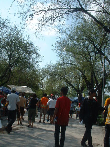 大家都到公園來了