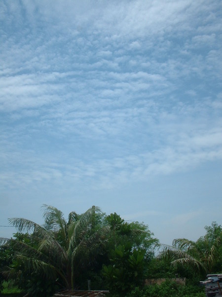 天氣大好
