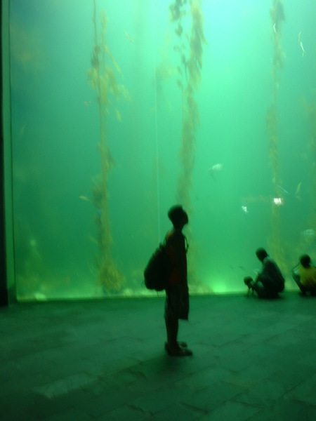 馬在深海裡