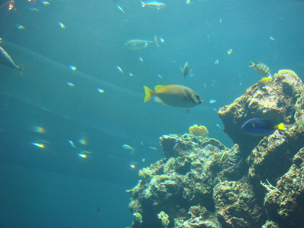 水族館