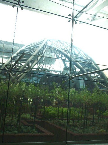 泰國Suvarnabhumi Airport‎ 2
