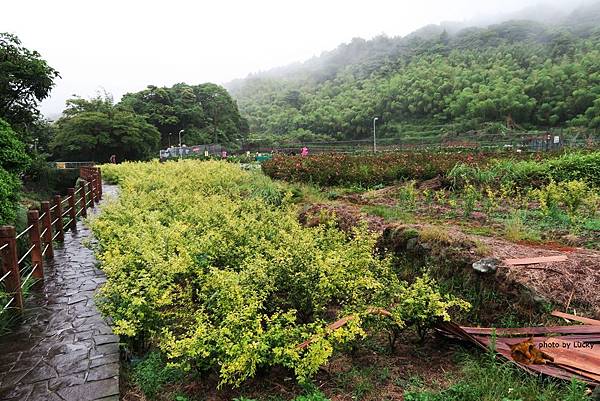 IMG_0013.JPG IMG_0013.JPG