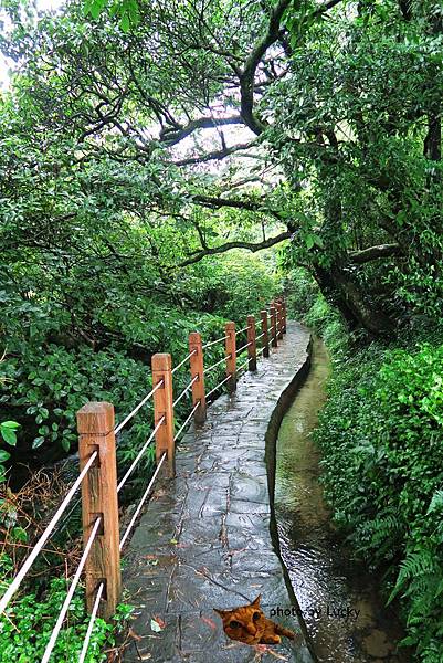 IMG_0017.JPG IMG_0017.JPG