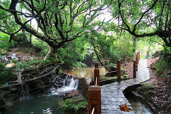 IMG_0024.JPG IMG_0024.JPG