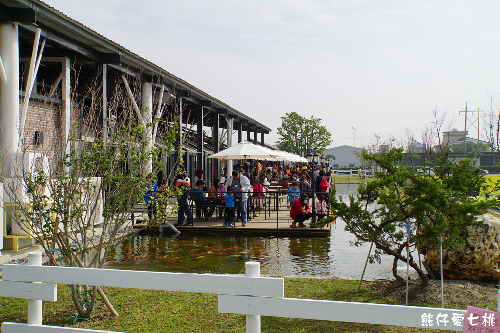 DSC04438.jpg DSC04438.jpg