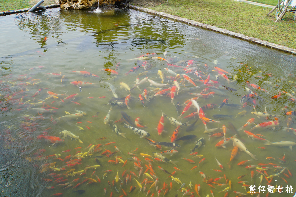 DSC04460.jpg DSC04460.jpg