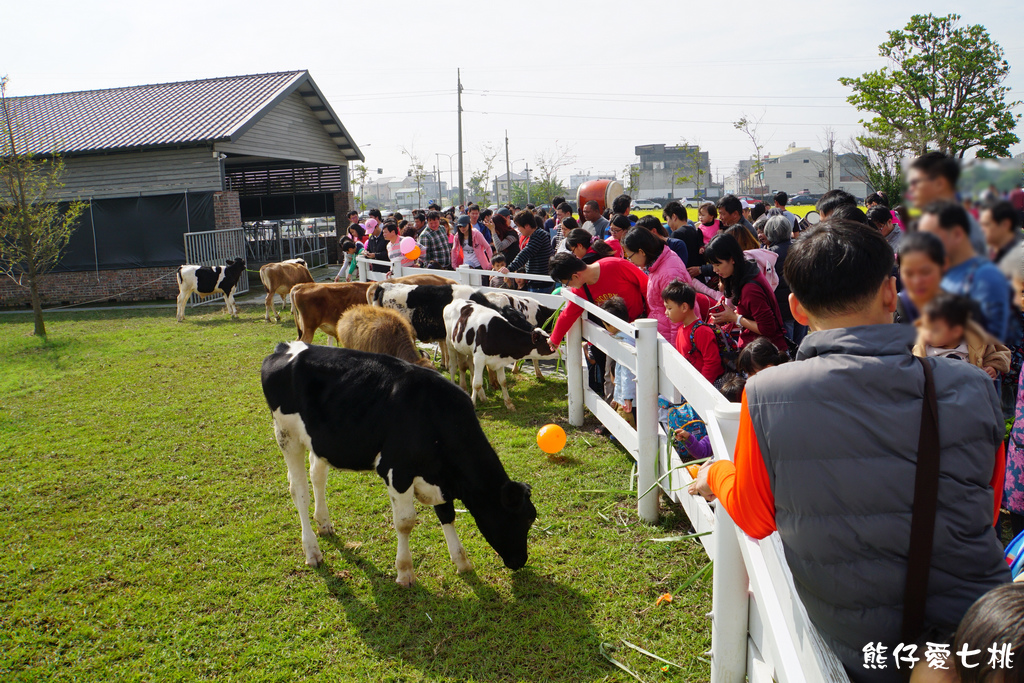 DSC04481.jpg DSC04481.jpg