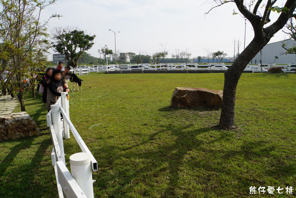 DSC04485.jpg DSC04485.jpg