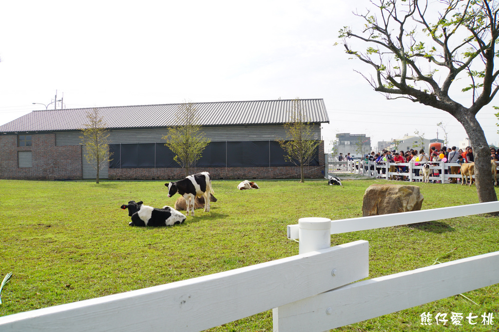 DSC04492.jpg DSC04492.jpg