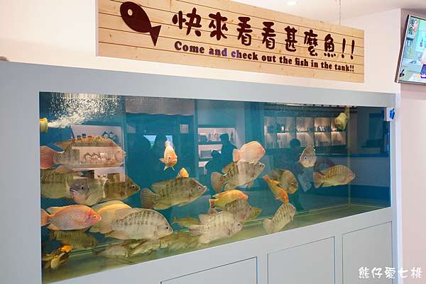 雲林 台灣鯛生態創意園區 新開幕 試營運 熊仔愛七桃 痞客邦