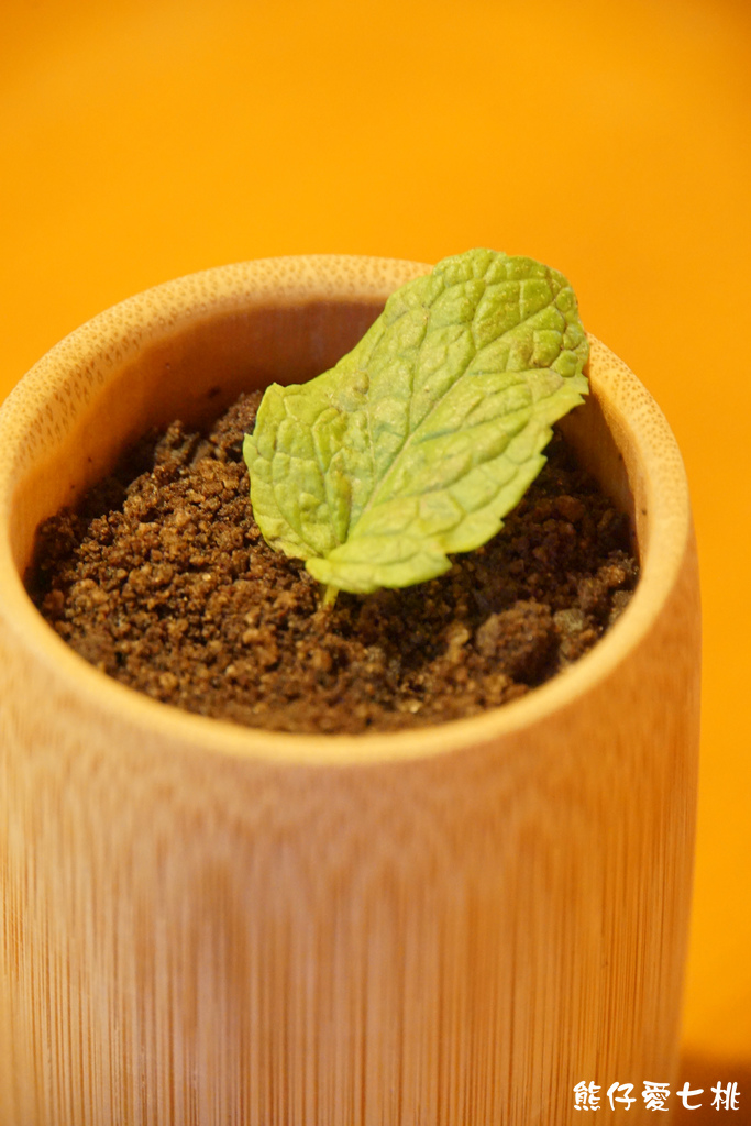 DSC00330.jpg DSC00330.jpg