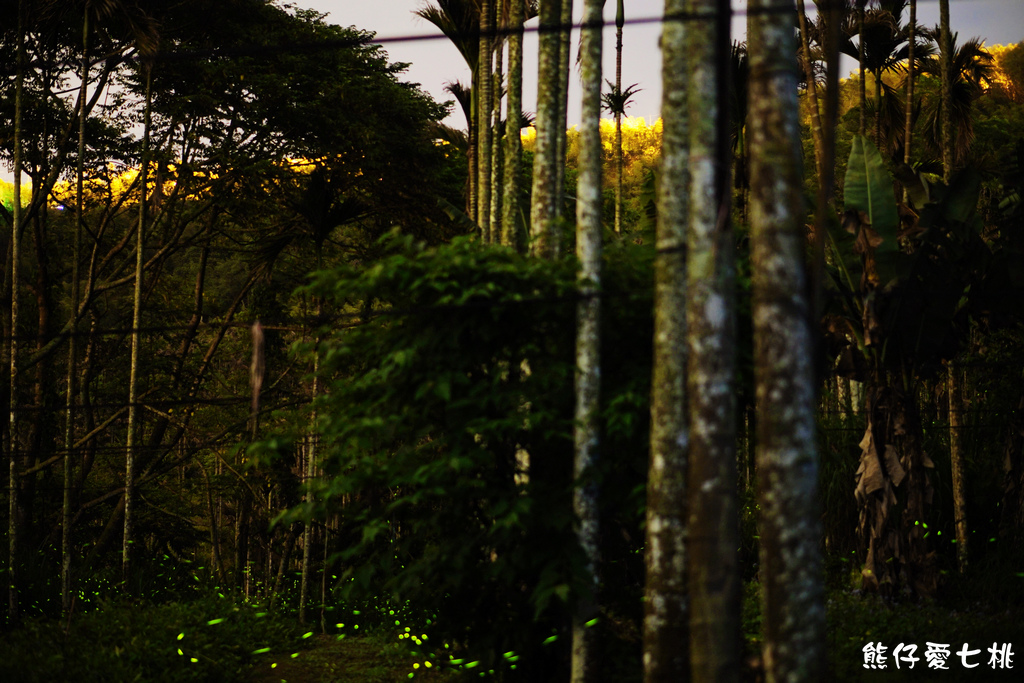 DSC00356.jpg DSC00356.jpg