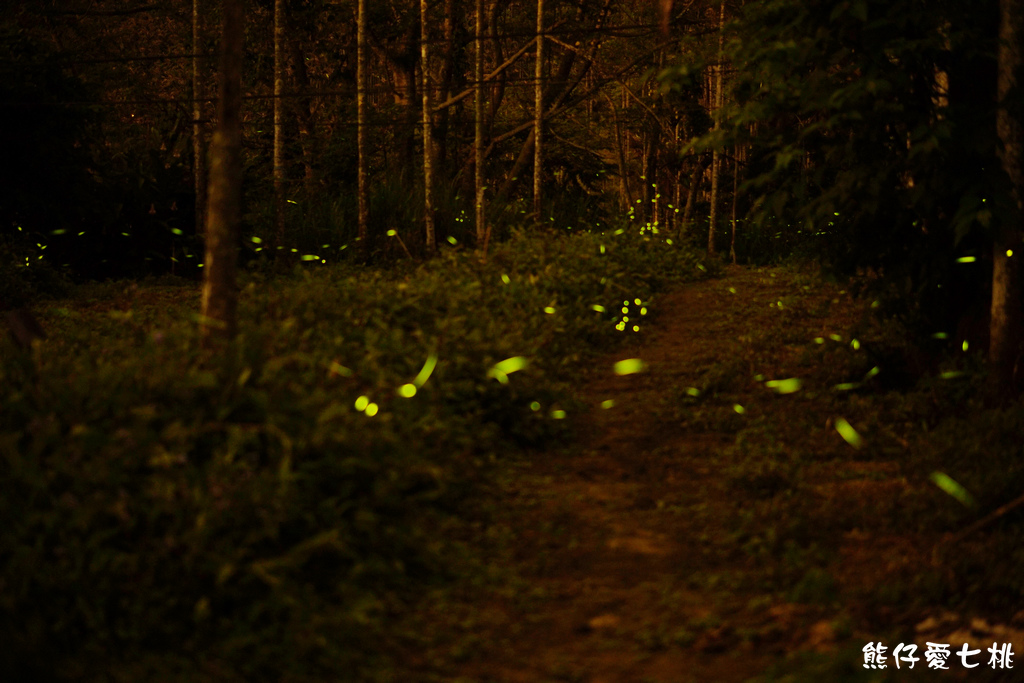 DSC00357.jpg DSC00357.jpg