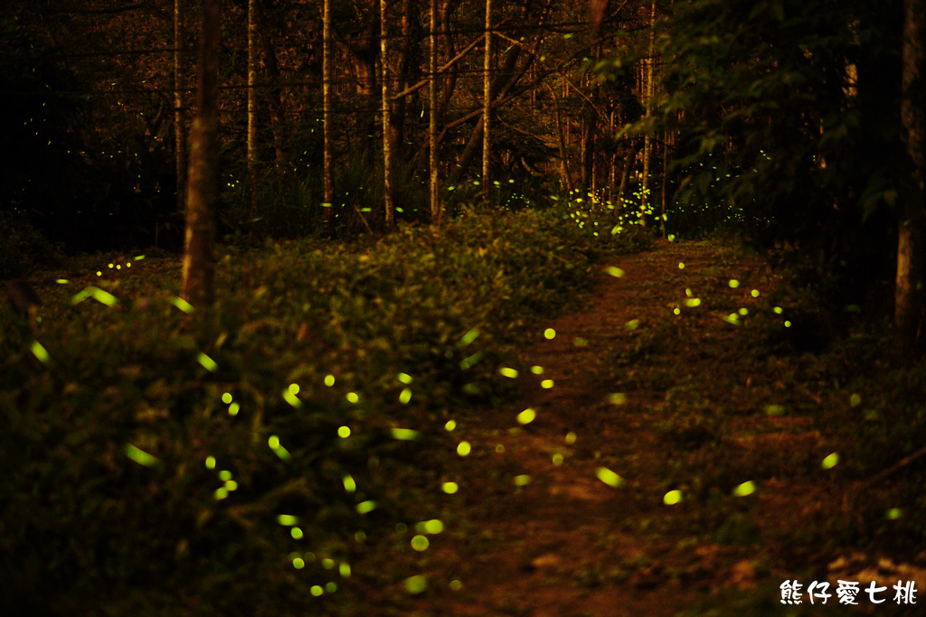 DSC00360.jpg DSC00360.jpg