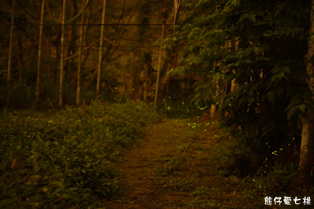 DSC00363.jpg DSC00363.jpg