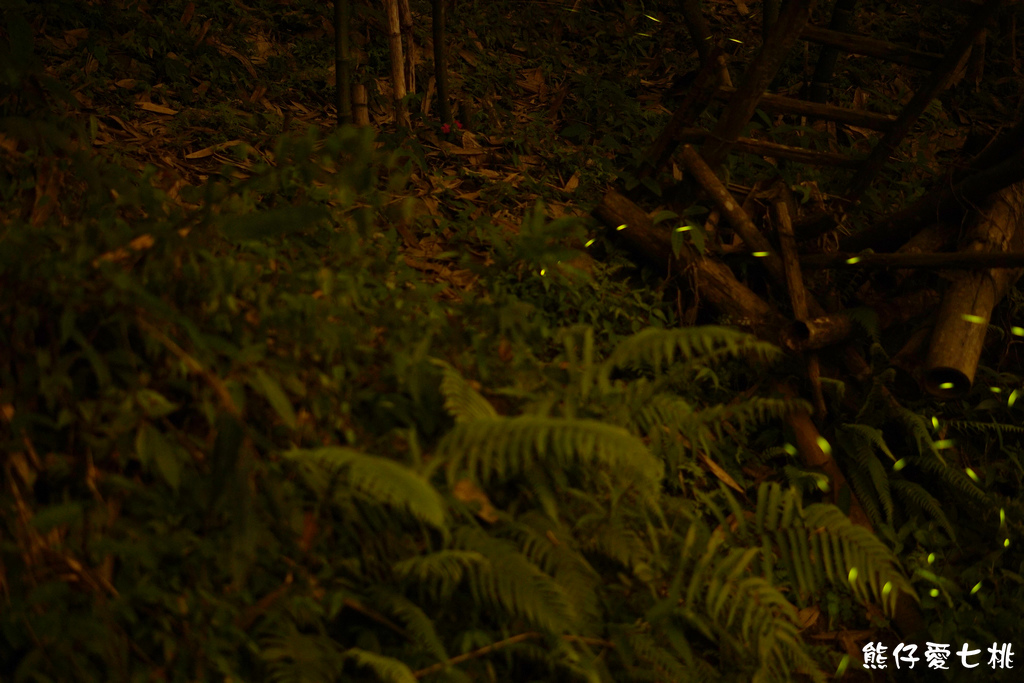 DSC00370.jpg DSC00370.jpg