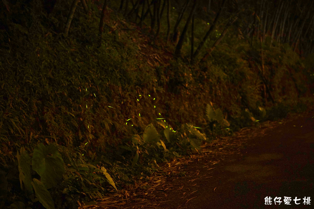 DSC00371.jpg DSC00371.jpg