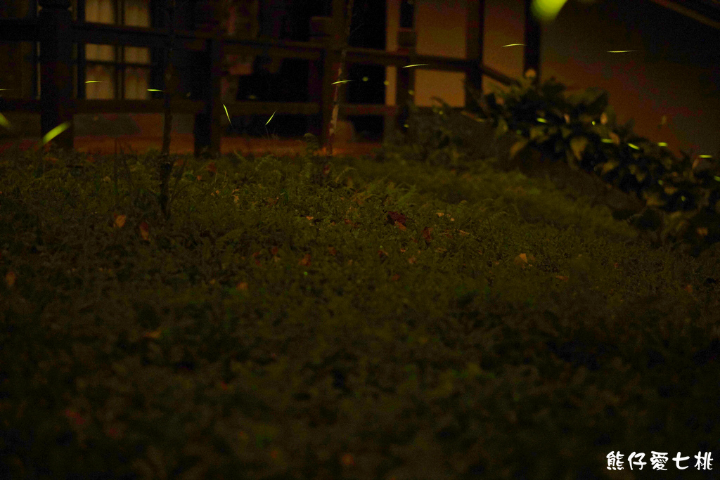 DSC00383.jpg DSC00383.jpg