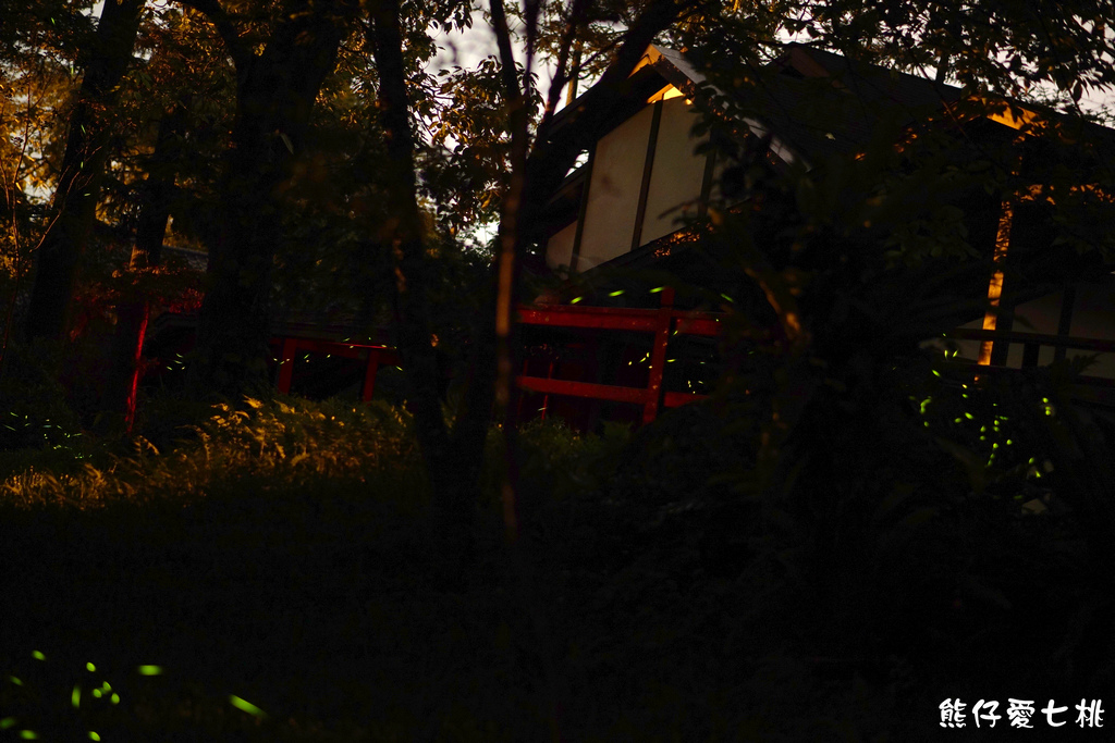 DSC00384.jpg DSC00384.jpg