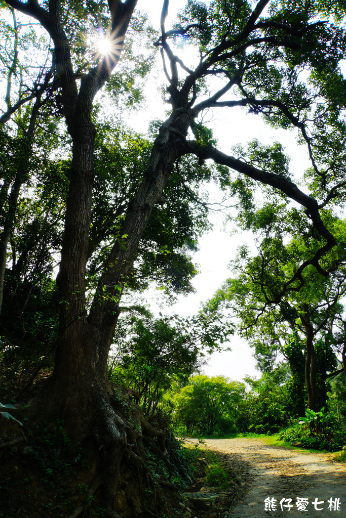 DSC06716.jpg DSC06716.jpg