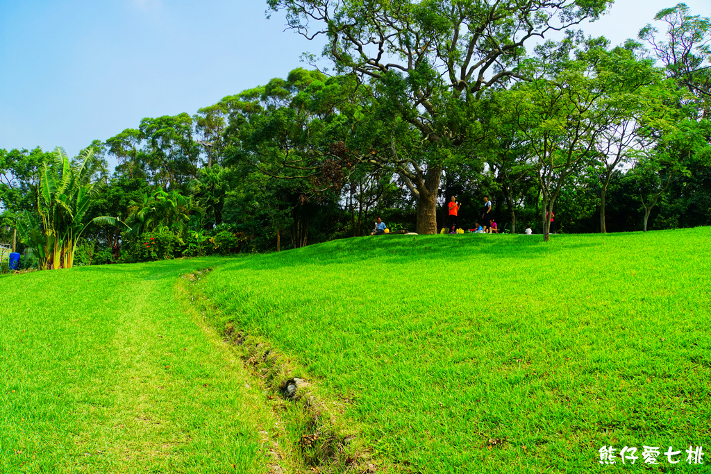 DSC06721.jpg DSC06721.jpg