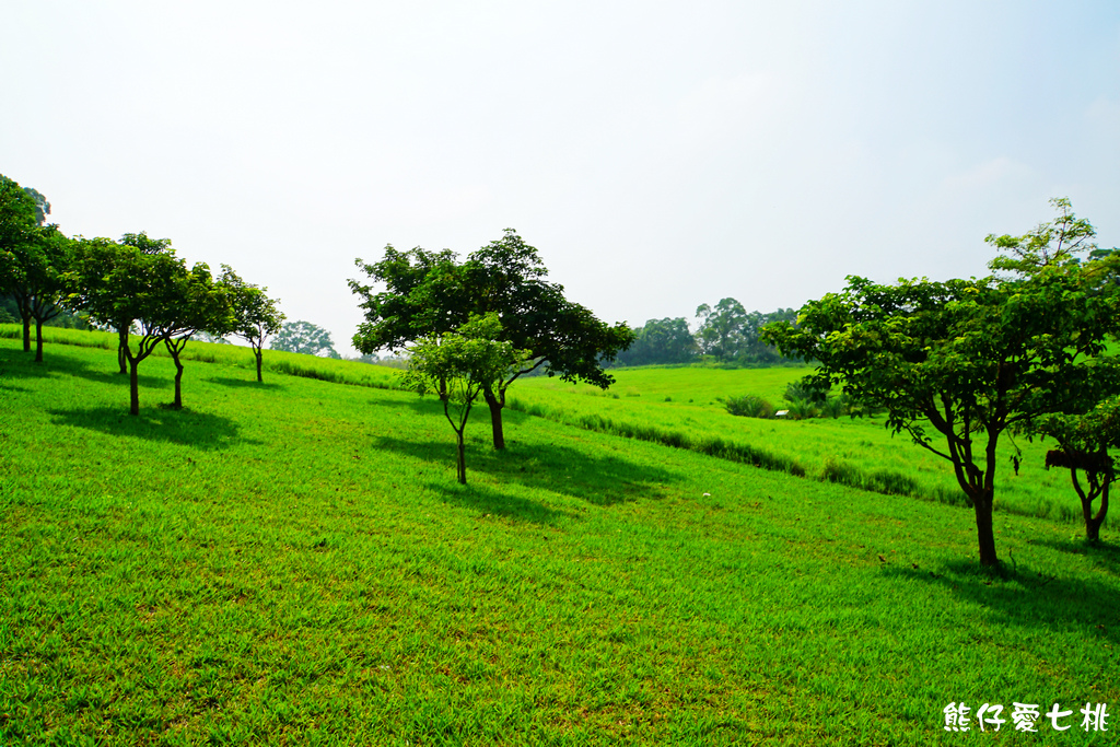 DSC06723.jpg DSC06723.jpg