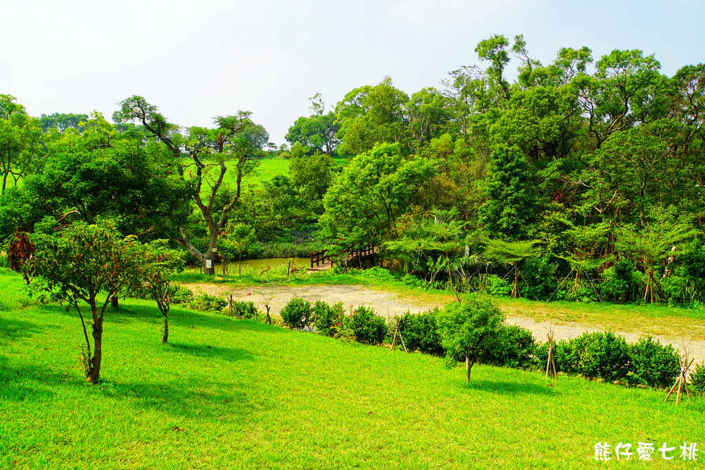 DSC06725.jpg DSC06725.jpg