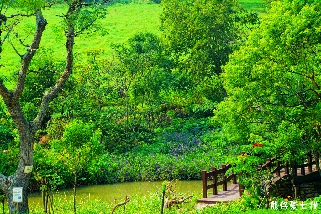 DSC06727.jpg DSC06727.jpg