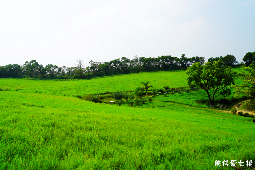 DSC06728.jpg DSC06728.jpg