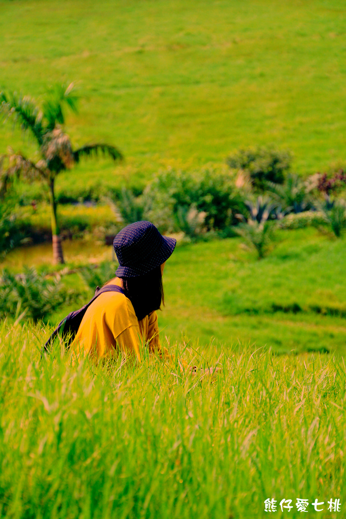 DSC06732.jpg DSC06732.jpg