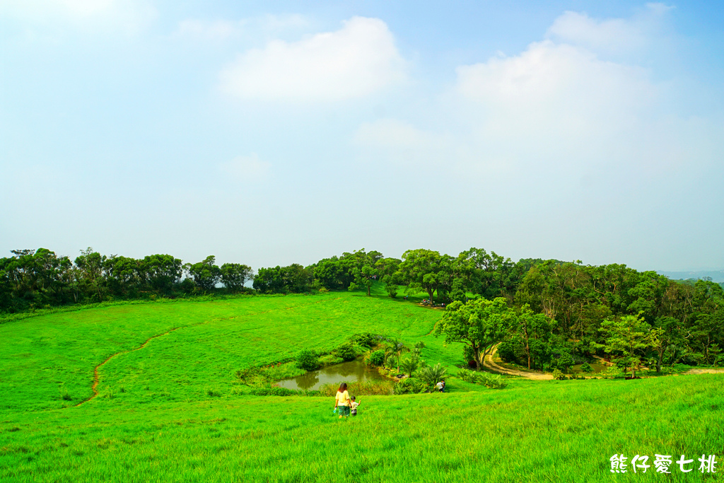 DSC06738.jpg DSC06738.jpg