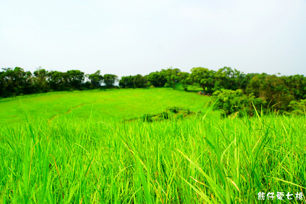 DSC06741.jpg DSC06741.jpg