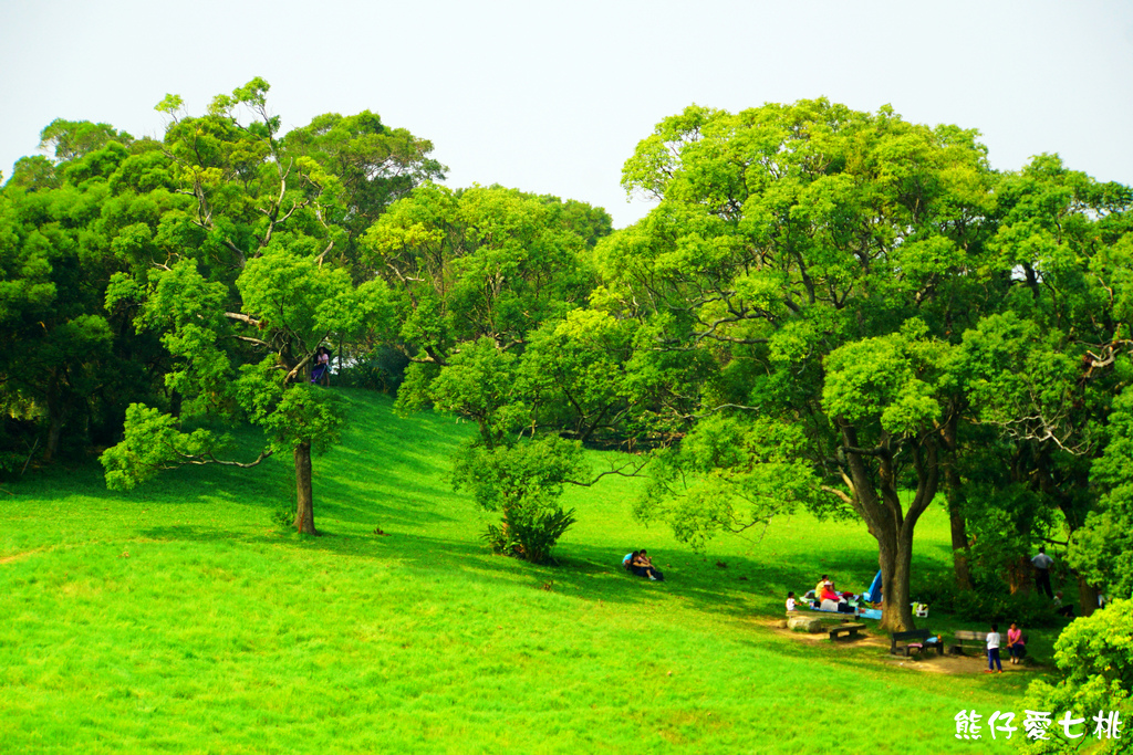 DSC06743.jpg DSC06743.jpg