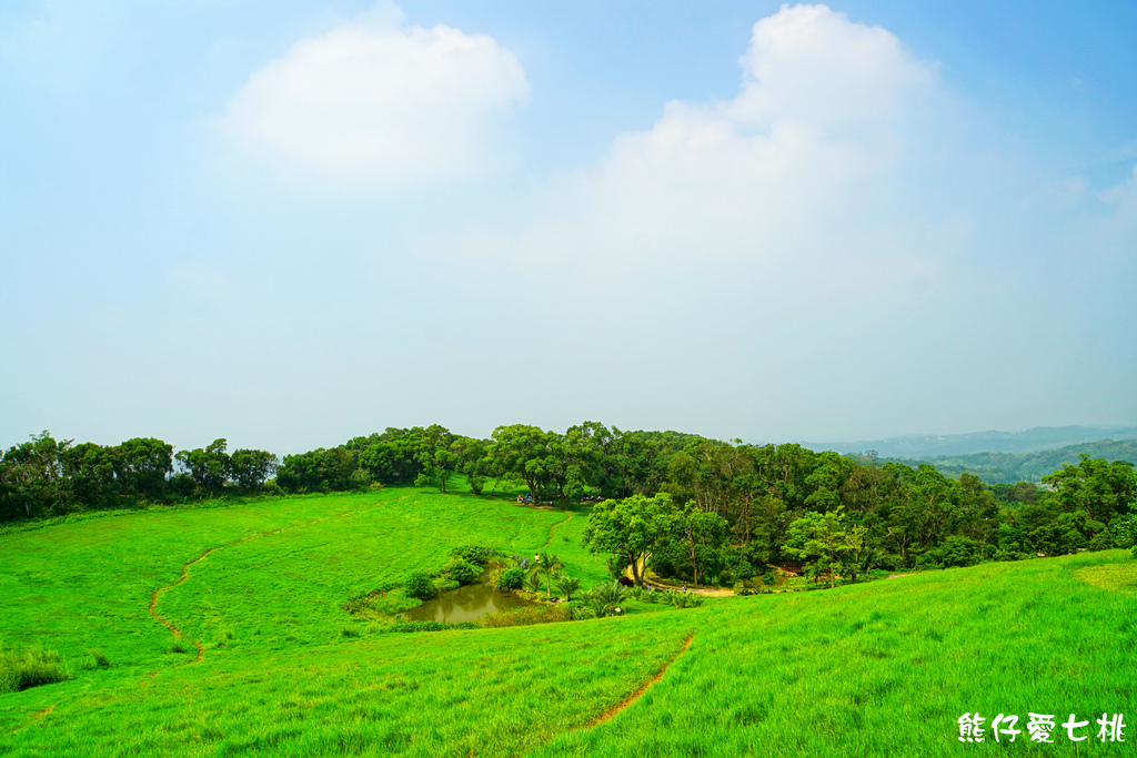 DSC06746.jpg DSC06746.jpg