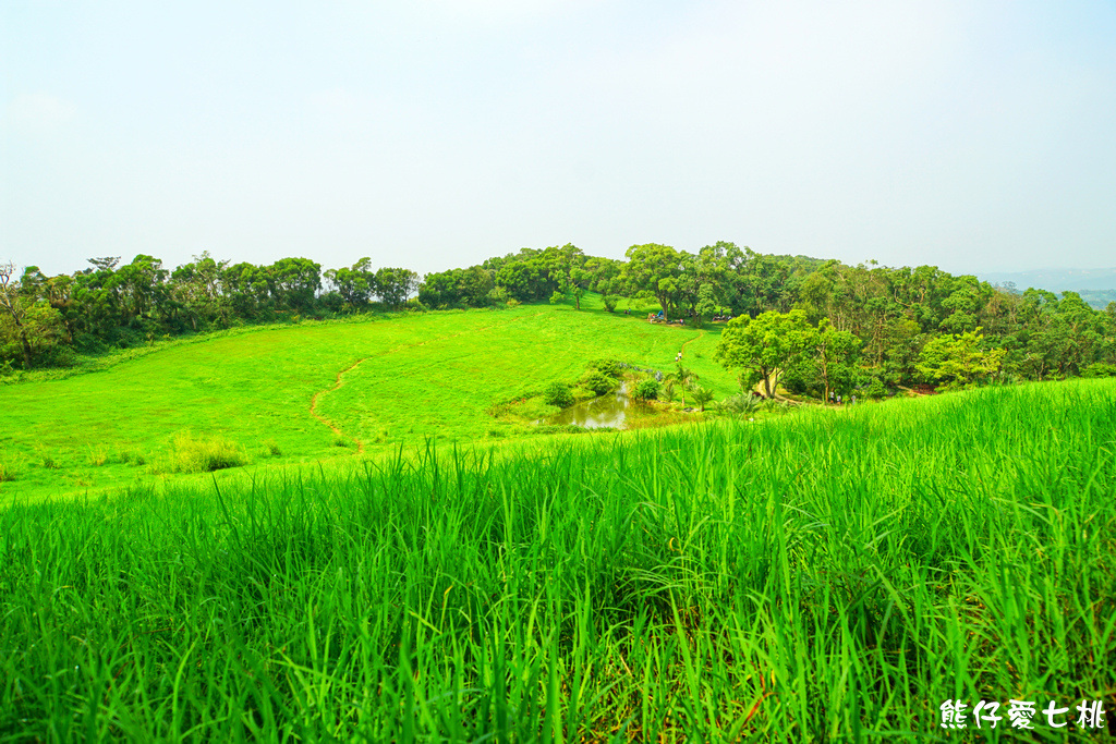 DSC06748.jpg DSC06748.jpg