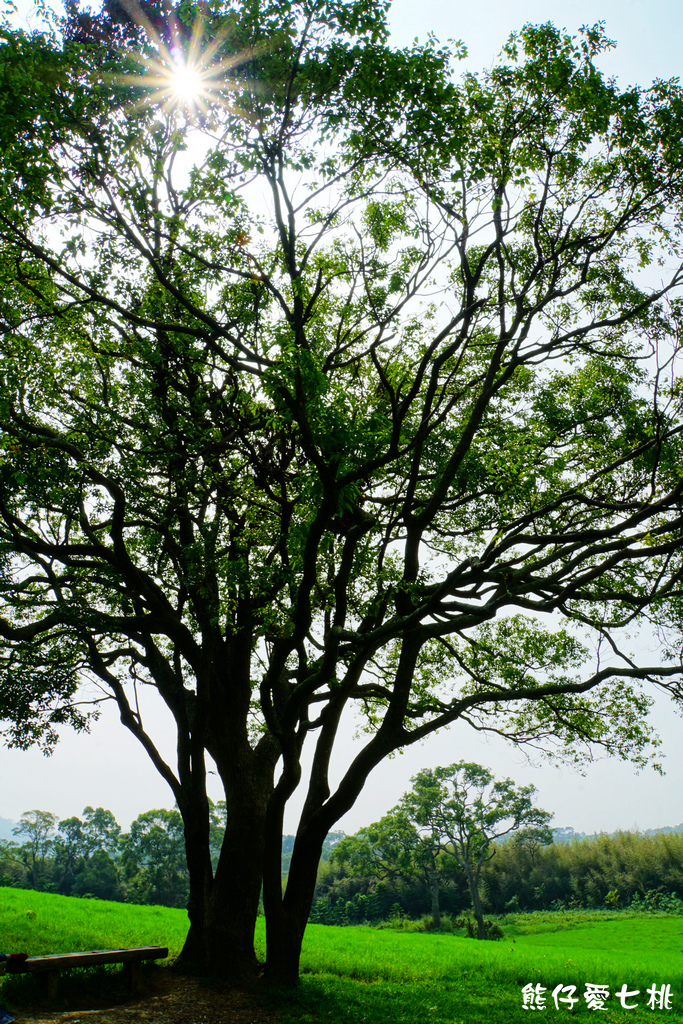 DSC06752.jpg DSC06752.jpg