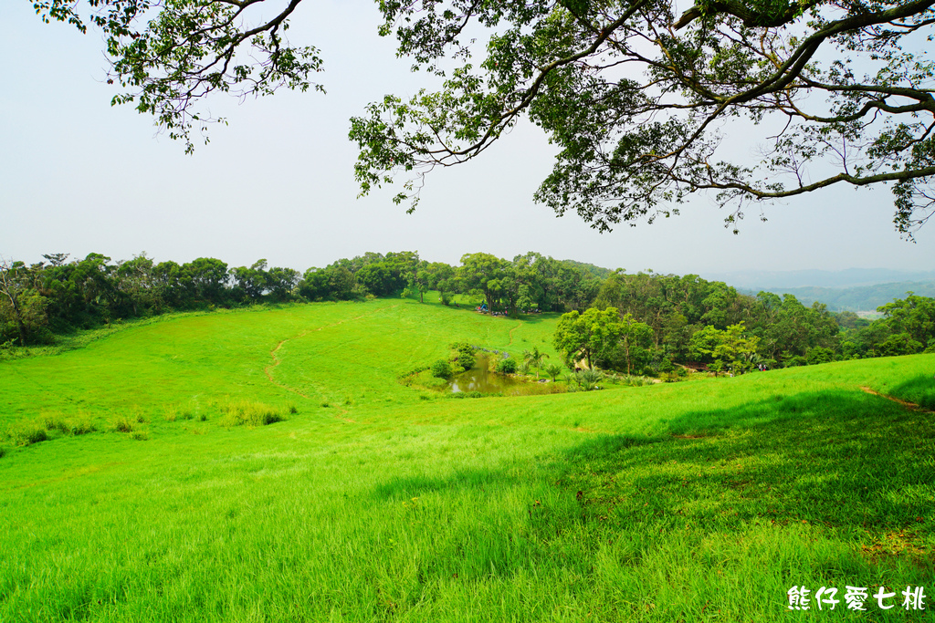 DSC06759.jpg DSC06759.jpg