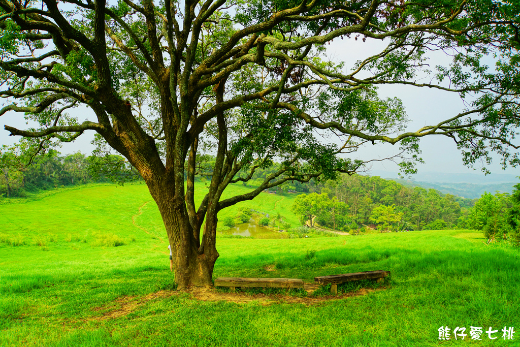 DSC06762.jpg DSC06762.jpg