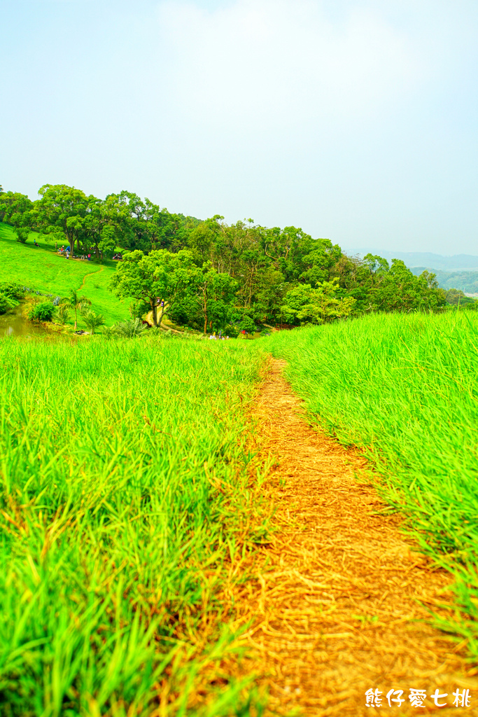 DSC06768.jpg DSC06768.jpg