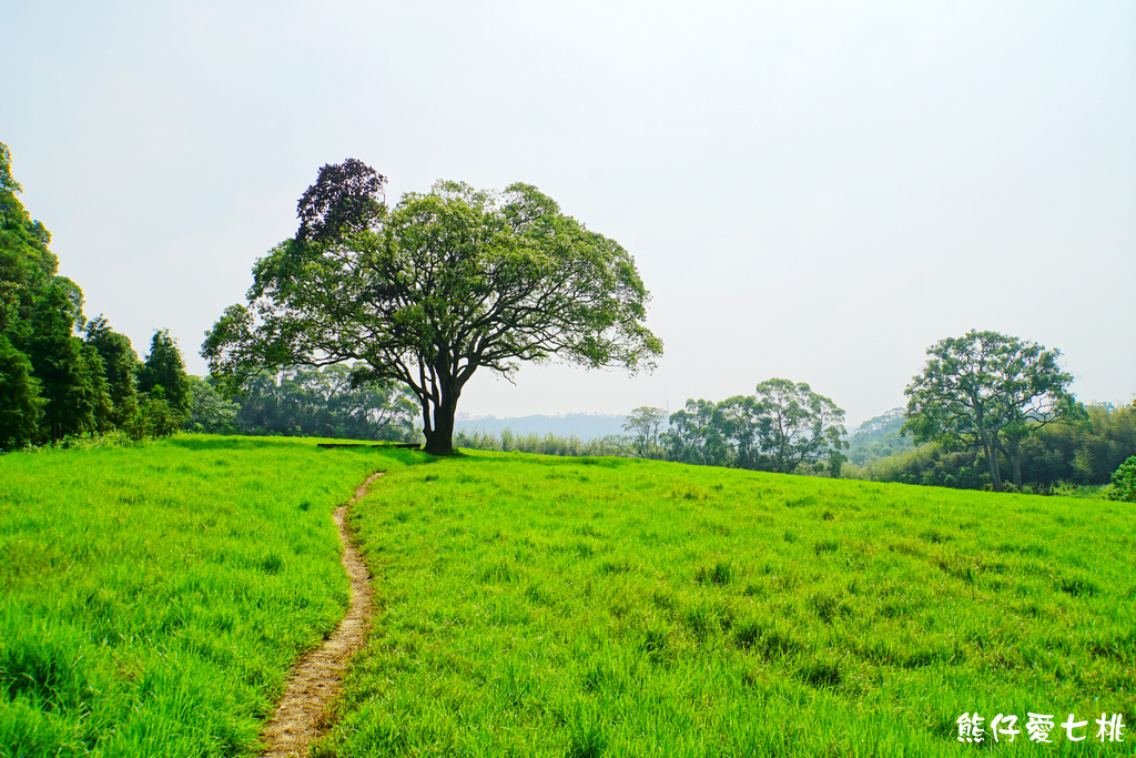 DSC06777.jpg DSC06777.jpg