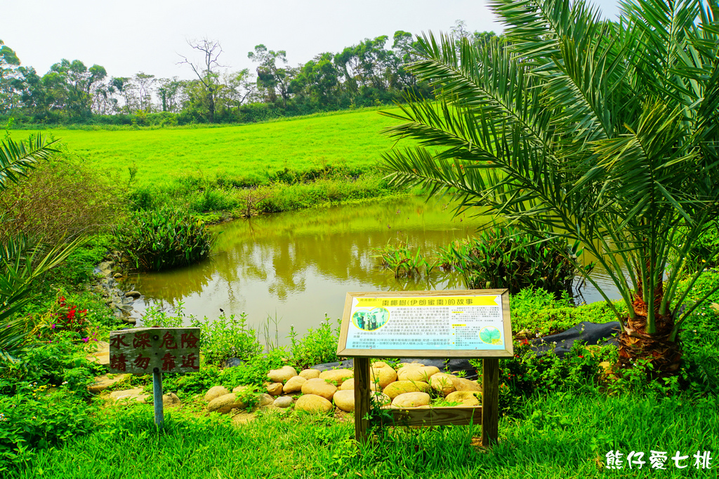 DSC06779.jpg DSC06779.jpg