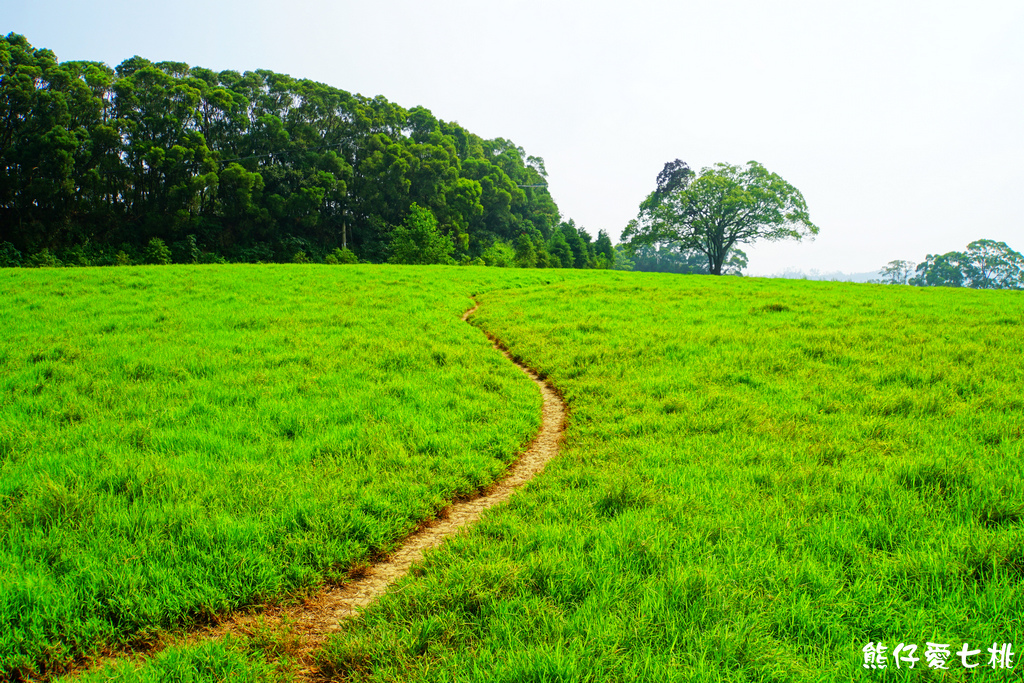 DSC06785.jpg DSC06785.jpg