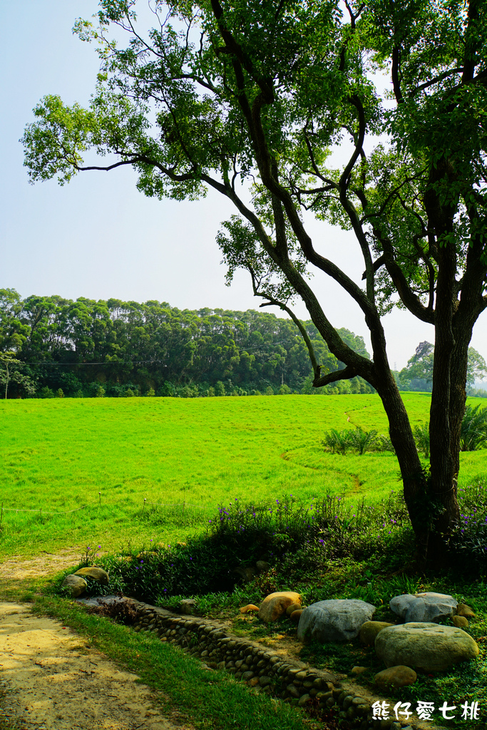 DSC06789.jpg DSC06789.jpg