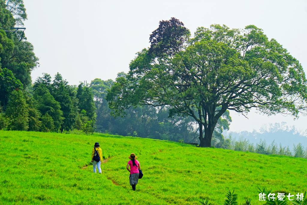 DSC06797.jpg DSC06797.jpg