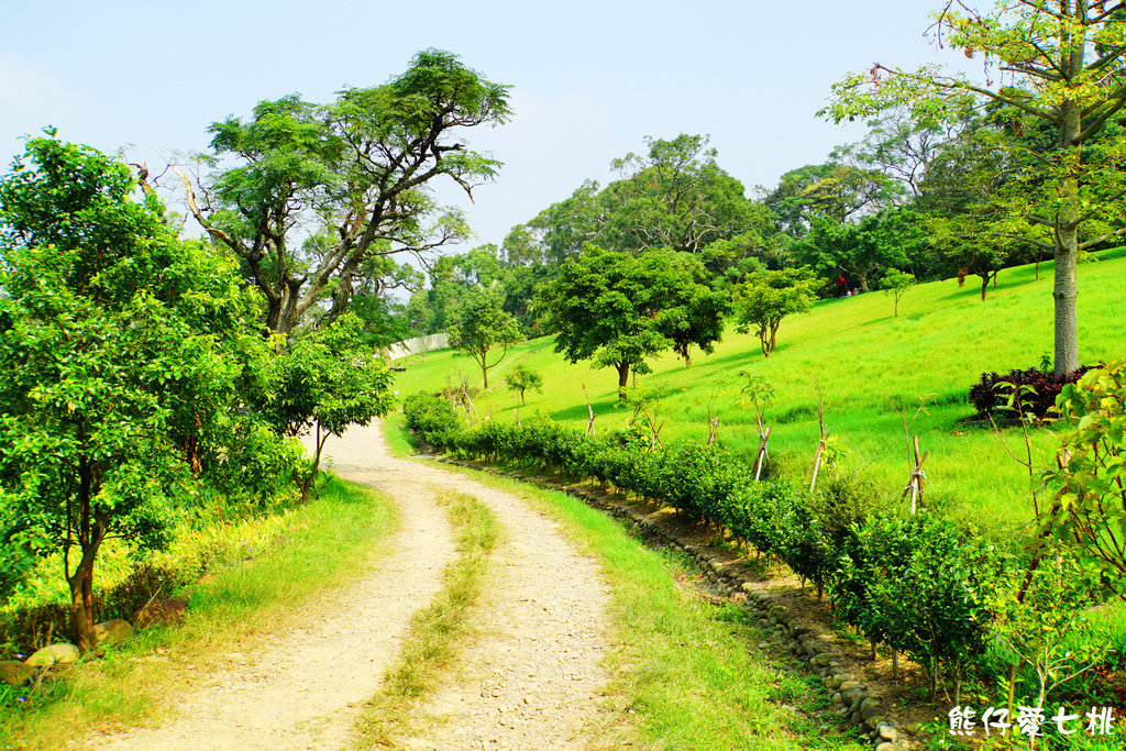 DSC06801.jpg DSC06801.jpg