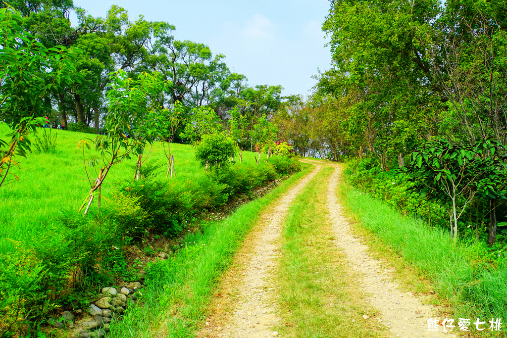 DSC06815.jpg DSC06815.jpg