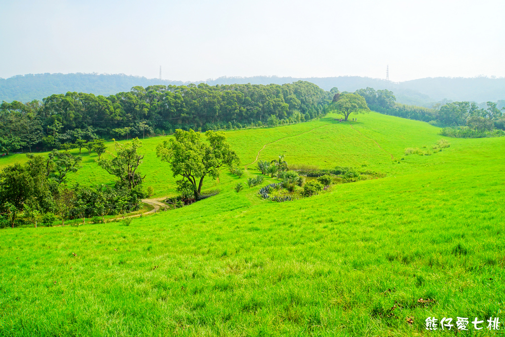 DSC06821.jpg DSC06821.jpg